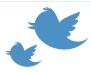 Link zu unserer Twitter-Seite